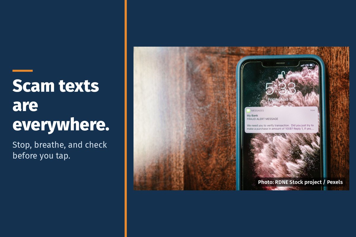Phone showing an alert text message, with the words "Scam texts are everywhere. Stop, breathe, and check before you tap."